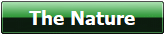 The Nature